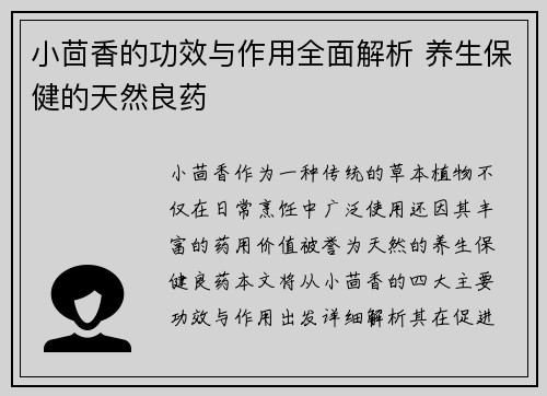 小茴香的功效与作用全面解析 养生保健的天然良药